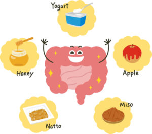 Illustration of a pink large intestine. Healthy foods such as natto and yogurt.